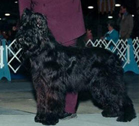 Maggie