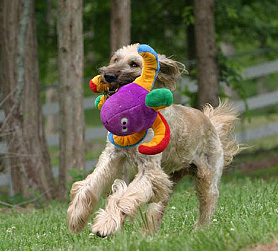 Jokin' Around!