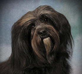 Napa's glamor shot—I'm ready for my close-up!