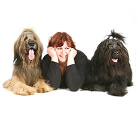 Pepper, Simone and Pastis laying down on the job! 