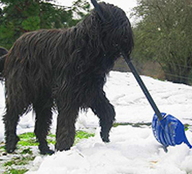 Uilleag shovels snow December 2008