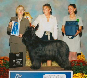 Abbi Wins Group