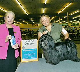 Angus Best of Winners