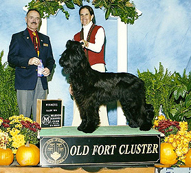 Lolita wins both majors